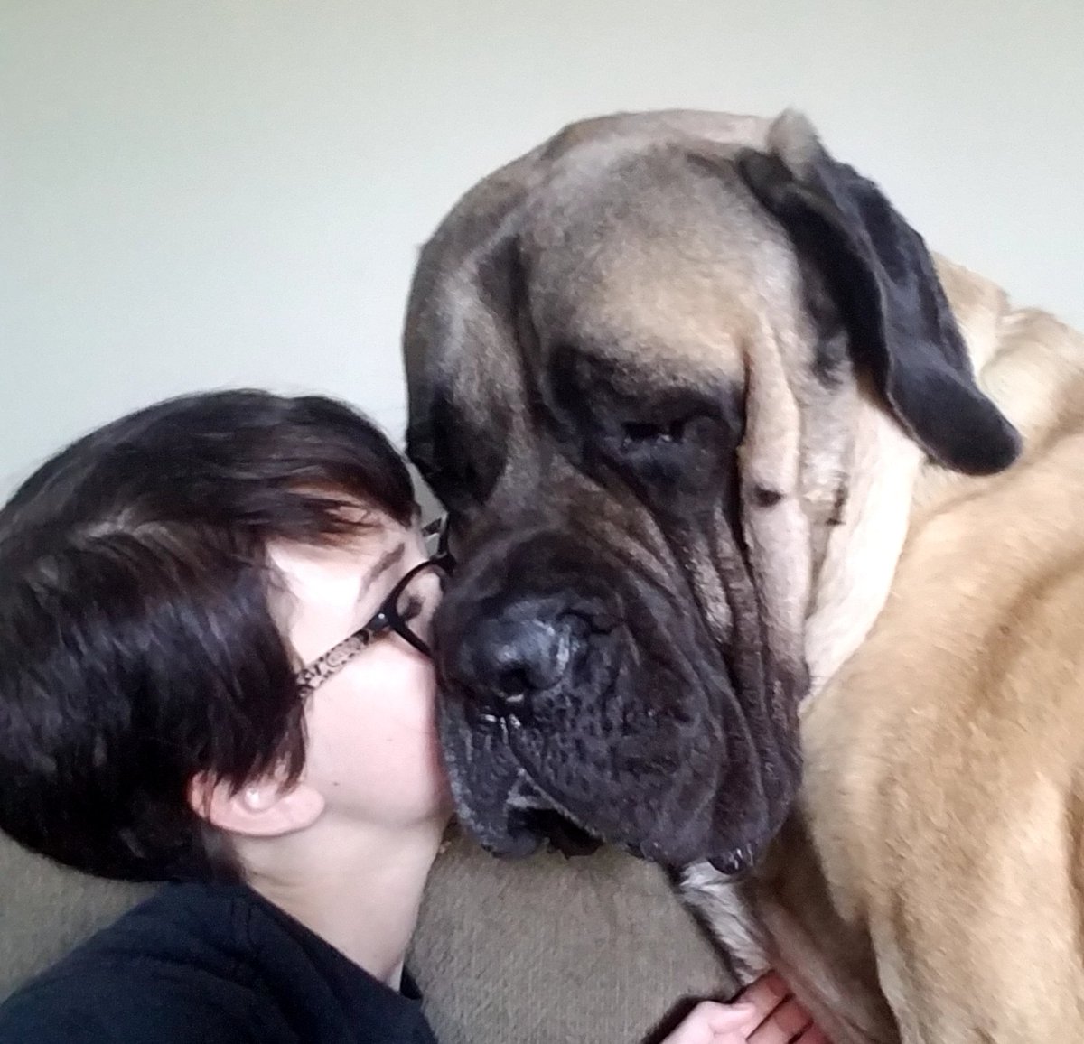 asshley712's tweet photo. missing big boy and super short hair https://t.co/IME3Rq8iGv