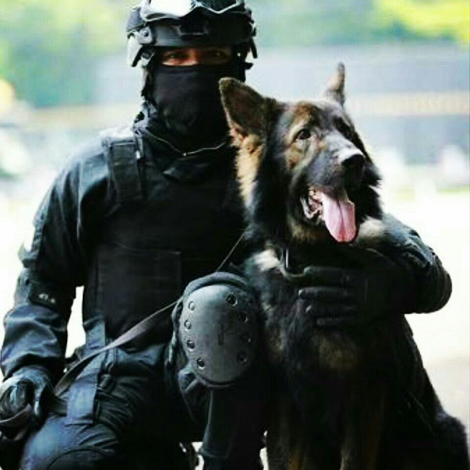 K9