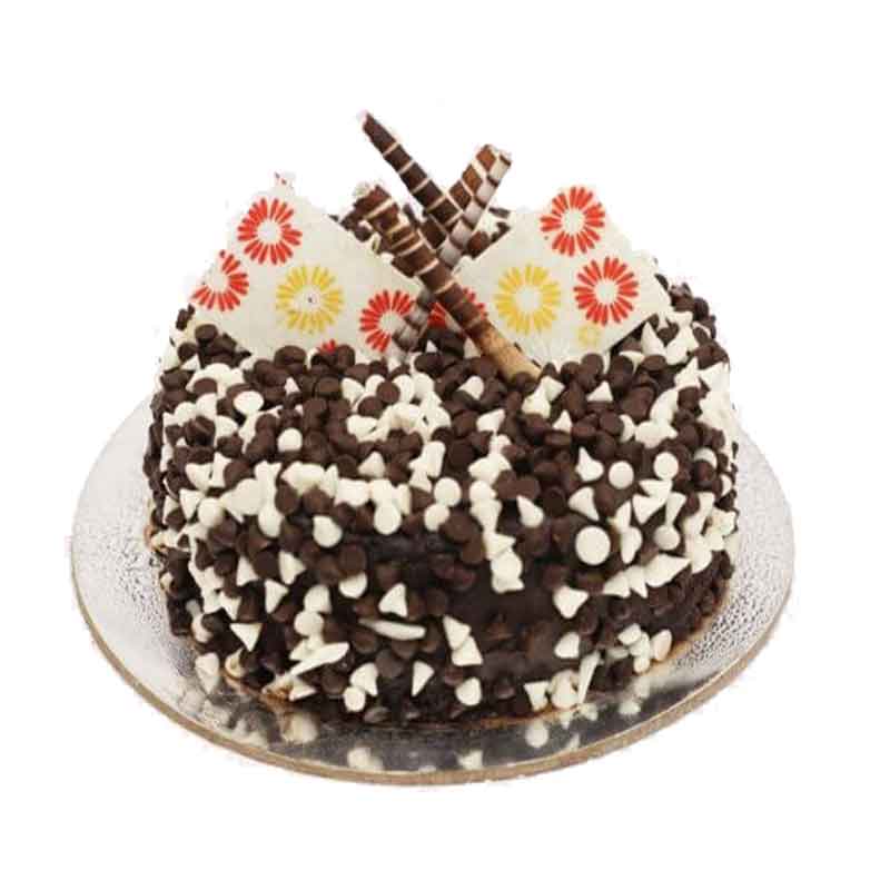 Click2Cakecom's tweet image. A delicious range of #Choclotecakes from the house of #click2cake. 
Lots of chocolate cakes with full of yummy choco that will make your happiness double either it is the birthday party for any special occasion. Select one and order now click2cake.com/Rohtak/Cakes or call 
9255094550