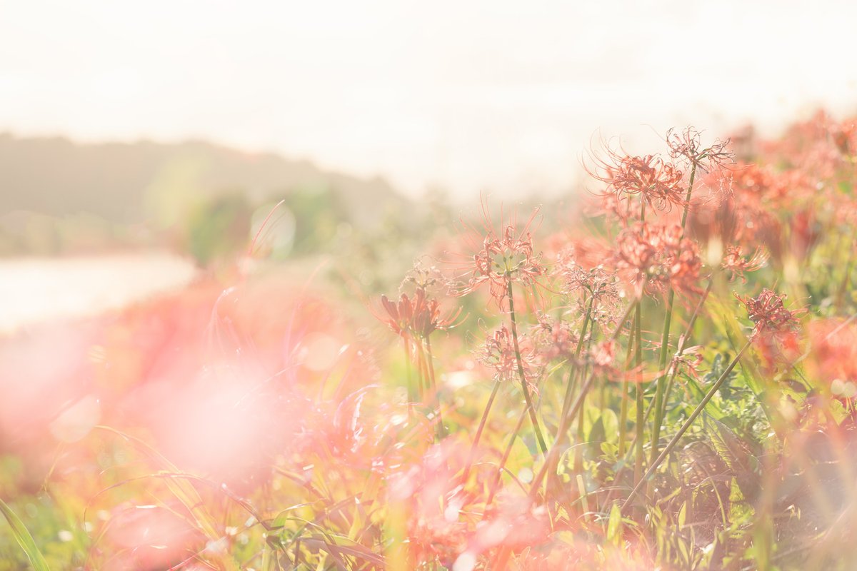 PMDT_OL's tweet photo. 🌻

https://t.co/09fytLyPAu
-
https://t.co/FhfIUBFtol
-
https://t.co/CLDFDAoZLK

[나이제한 X / PMDT::시간의 탐험대의 유치원 AU 이벤트 계정
/ 일상힐링개그 / 5D / 간단신청서 / ] https://t.co/KRR6YucWiw