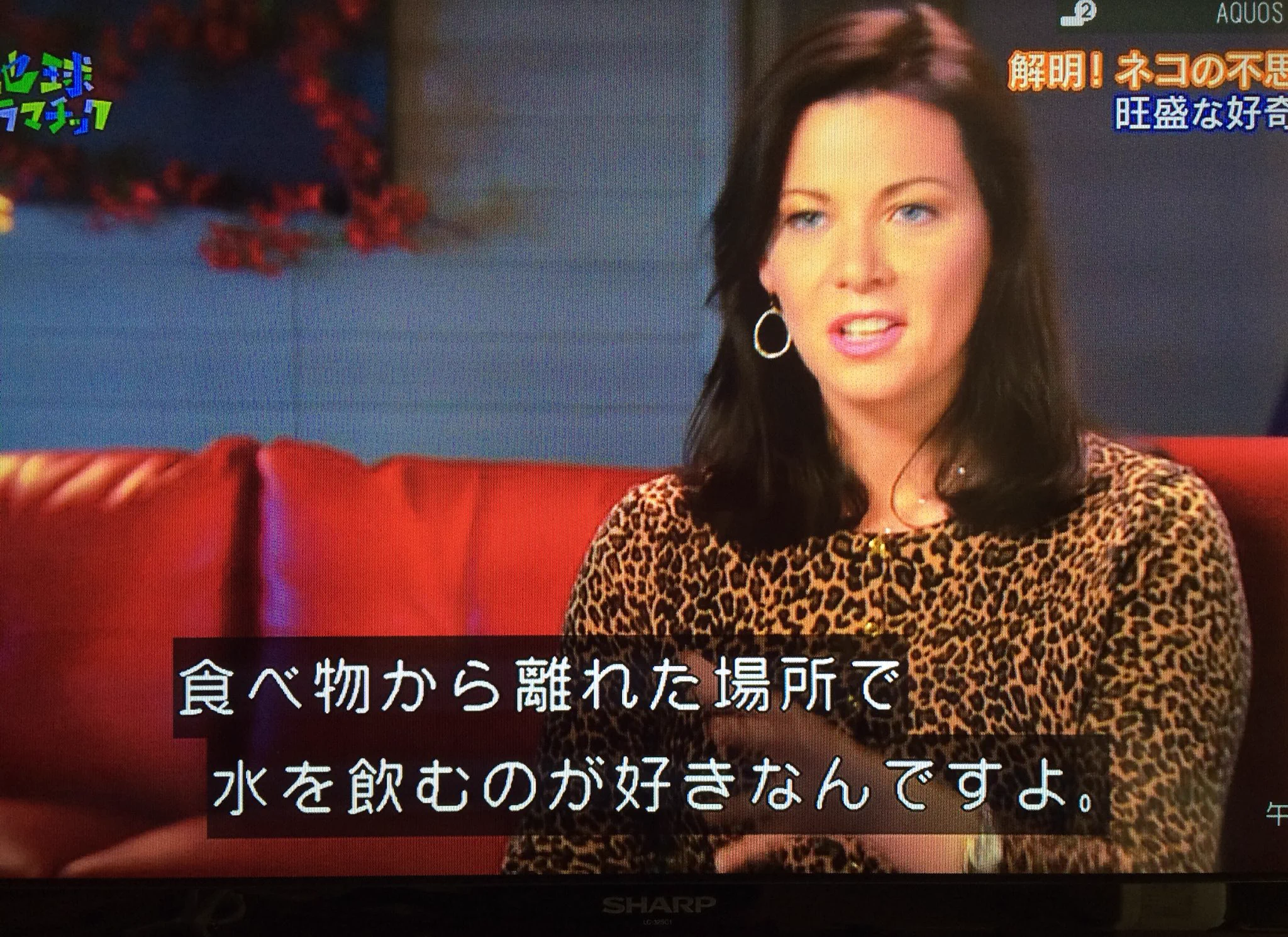 長年の謎が今解けた？猫がエサ置場で水を飲まない理由とは？