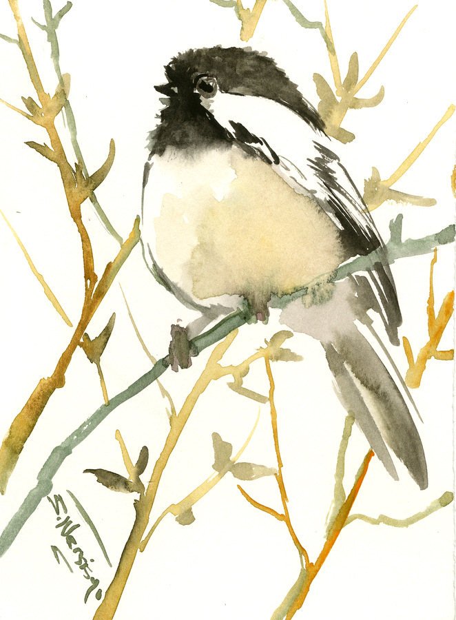 chickadee  artwoprk, bird art watercolor painting 7 x 5 in sma… tuppu.net/b998c9ae #ORIGINALONLY #ChickadeeBird