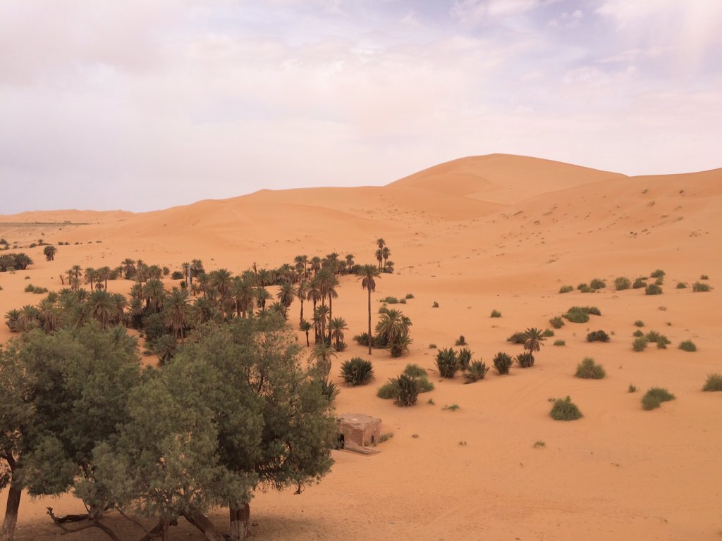 90% of Algeria is part of the Sahara desert #Africa #Algeria #TravelAfrica #TravelTuesday #travelalgeria