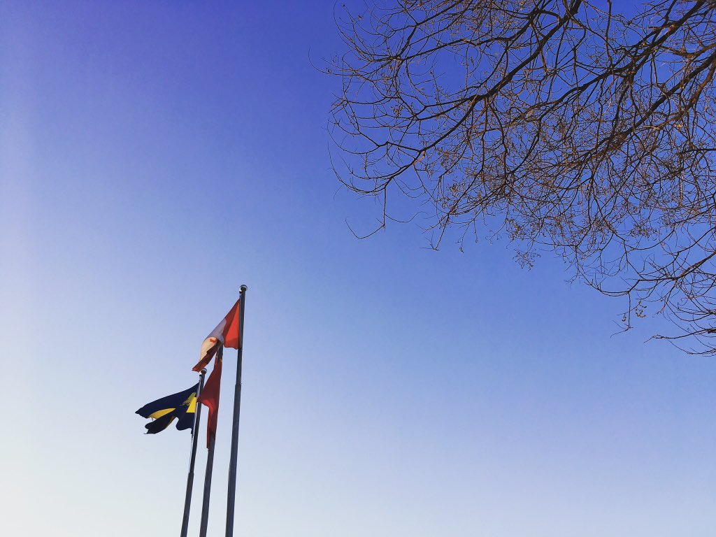 SEsdZ6VKru11gSC's tweet image. This is #BCCSC, #TongZhou, #China. It is pretty beautiful.