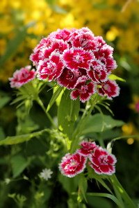 together666's tweet image. •►⊱╮