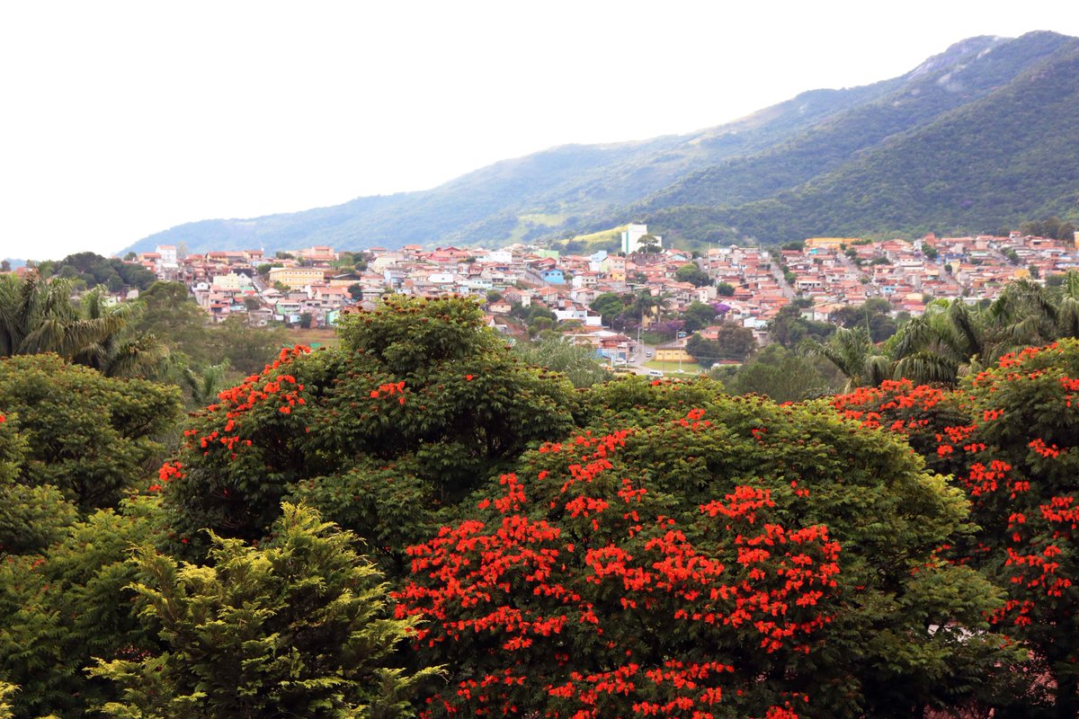 restoreforward's tweet photo. Extrema, may be a small town in #Brazil, but it is a giant success in terms of landscape #restoration. Through the Conservador das Águas project, this sugar and coffee region has planted over 750k trees for #watershed protection. #RestoreLatAm https://t.co/qFZuGaPdKE https://t.co/6jDHXREnoy