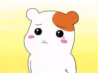 Kieslatte's tweet photo. @6kies_0416 지나님😭(와락!! 째스키도 보고싶고 지나님도 보고싶어요...😭 https://t.co/sbzZgv6P6p