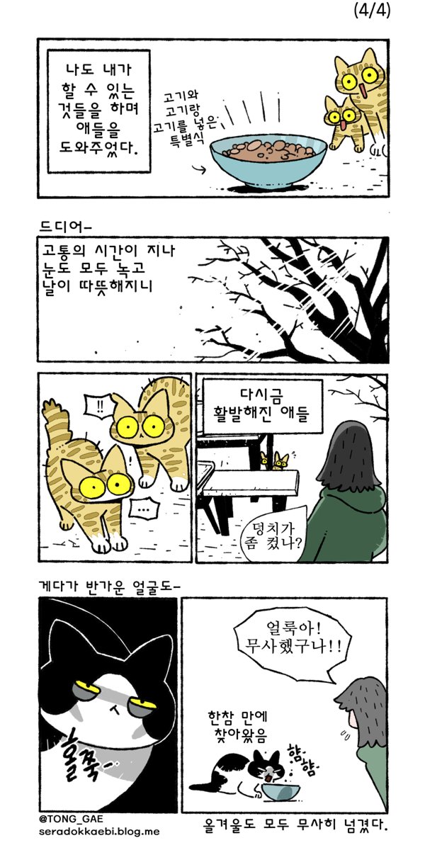 폭설 속의 고양이들