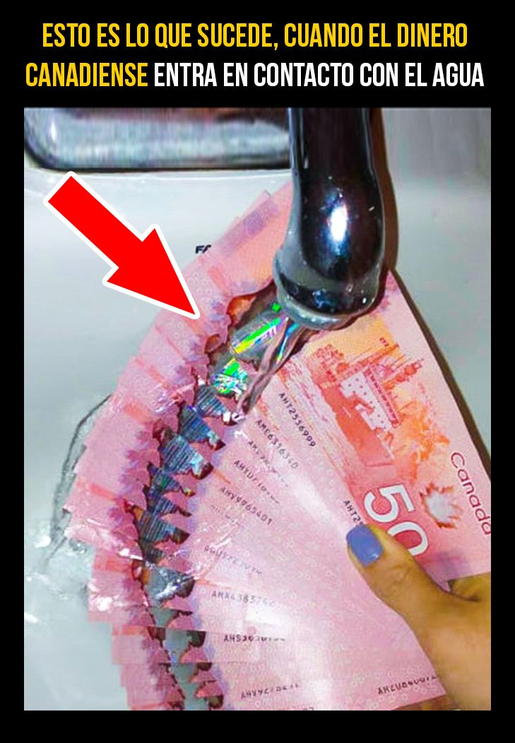 NotiNerd's tweet photo. 15 Cosas que hacen a Canadá el mejor país de América
--
https://t.co/OfYE8e0Z6Q https://t.co/rsdClNpmeR