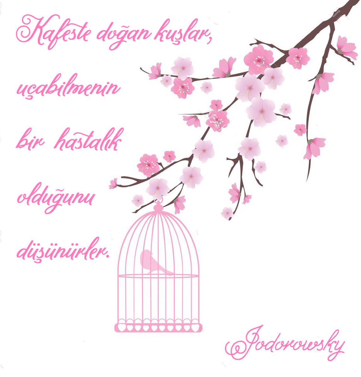 Hergün Taze On Twitter Kafeste Doğan Kuşlar Uçabilmenin