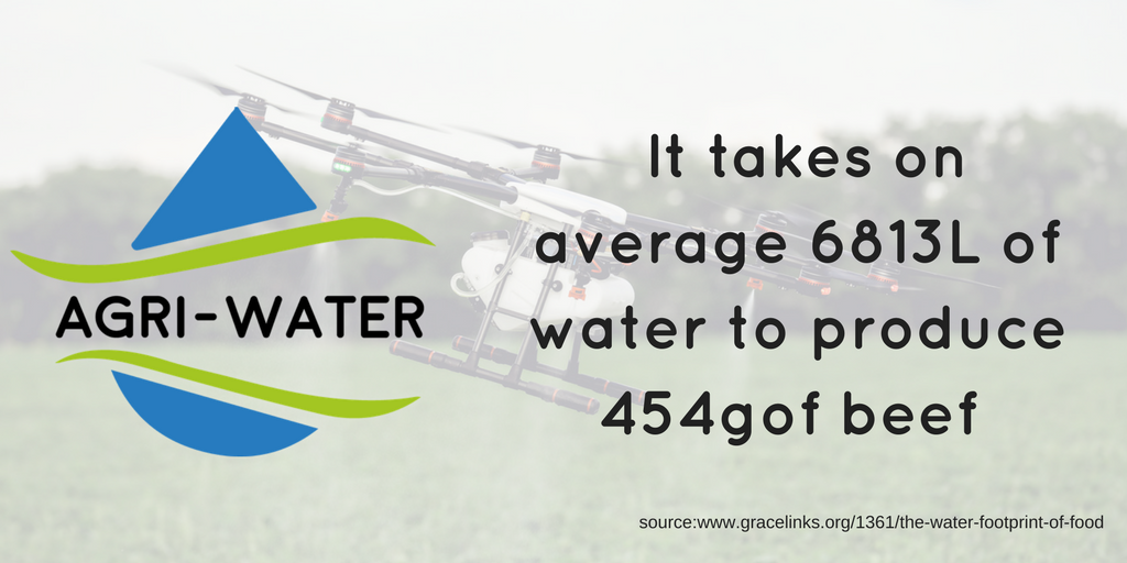 To produce 454g of beef takes, on average, 6813L of water. How do we make this water footprint smaller? #WaterCrisis #Agriwater #watertech #smartagri buff.ly/2GsdrlW