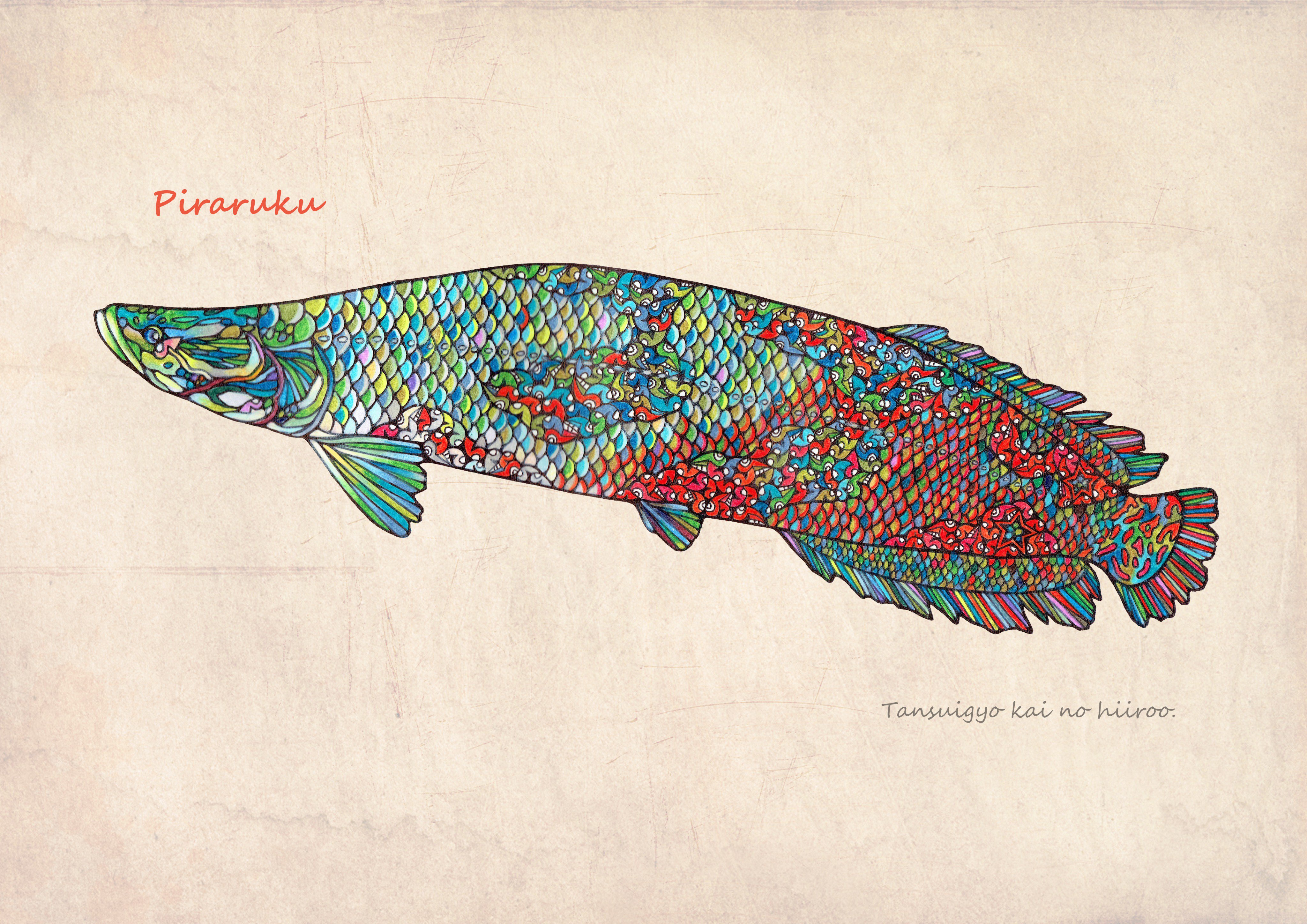 Namiko Niboshi Twitter ನಲ ಲ イラスト図鑑 ピラルク File111 イラスト 魚 ピラルク T Co Iriowd9lzs Twitter