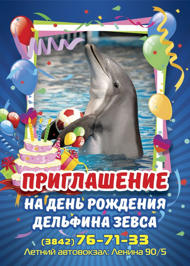 С днем рождения картинка с дельфином, открыток цветами