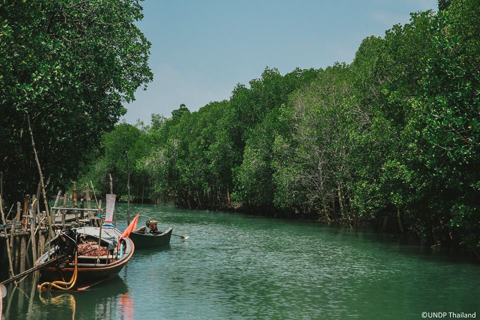 UNDPThailand's tweet photo. On day one of the Regional Dialogue on Climate Resilient Growth and Development, @UNDPThailand and delegates discussed #GenderEquality and #ClimateFinance issues. @UNDPThailand will soon launch our new project that addresses both! Thanks to @Sida and @IKI_BMUB for their support. https://t.co/j6X8RhSkhn