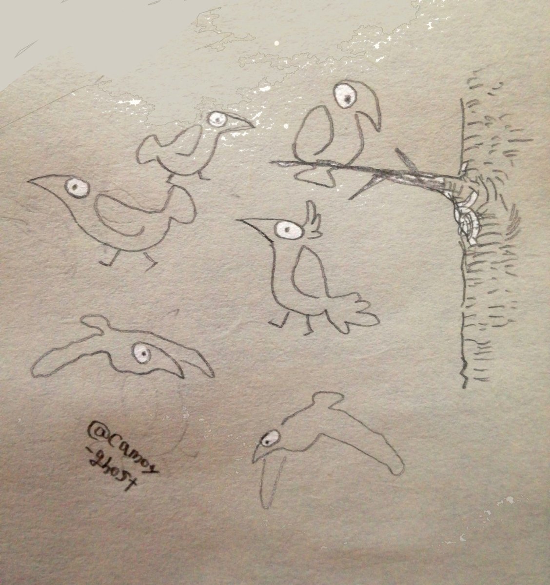角つけたり、シンプルな線で描いたり 色々描く⌒(ё)⌒ヘ(ё)ヘ

#あなたの鳥見せてください 