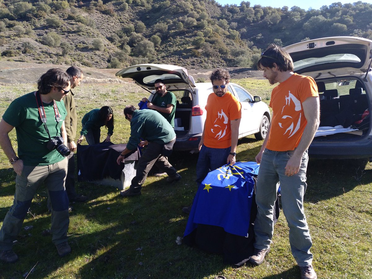 iberlinceEU's tweet photo. #Sueltas2018: Dos nuevos ejemplares de #linceibérico serán liberados en unos instantes en el área de reintroducción del Guadalmellato (#Córdoba) #LIFEproject #LIFEprogramme https://t.co/06hLNNBSIz