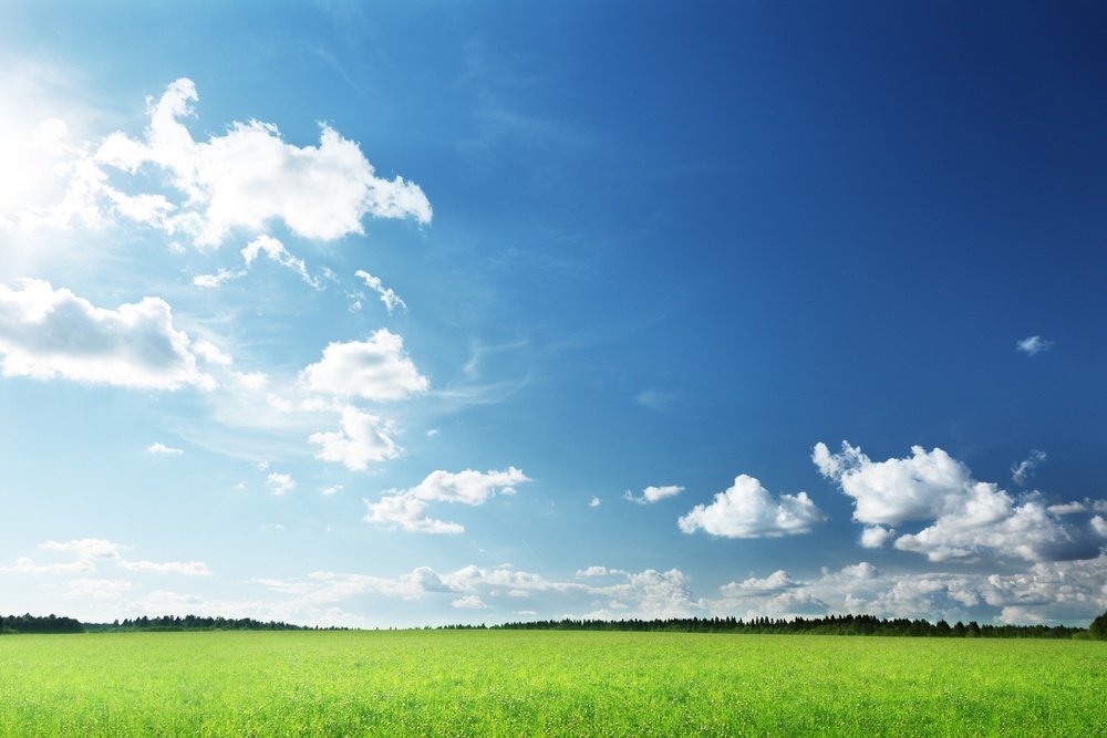 Land Trader tweet media