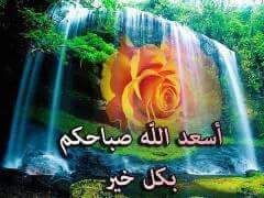 tthseen52's tweet photo. https://t.co/aLB7Si1SGJ