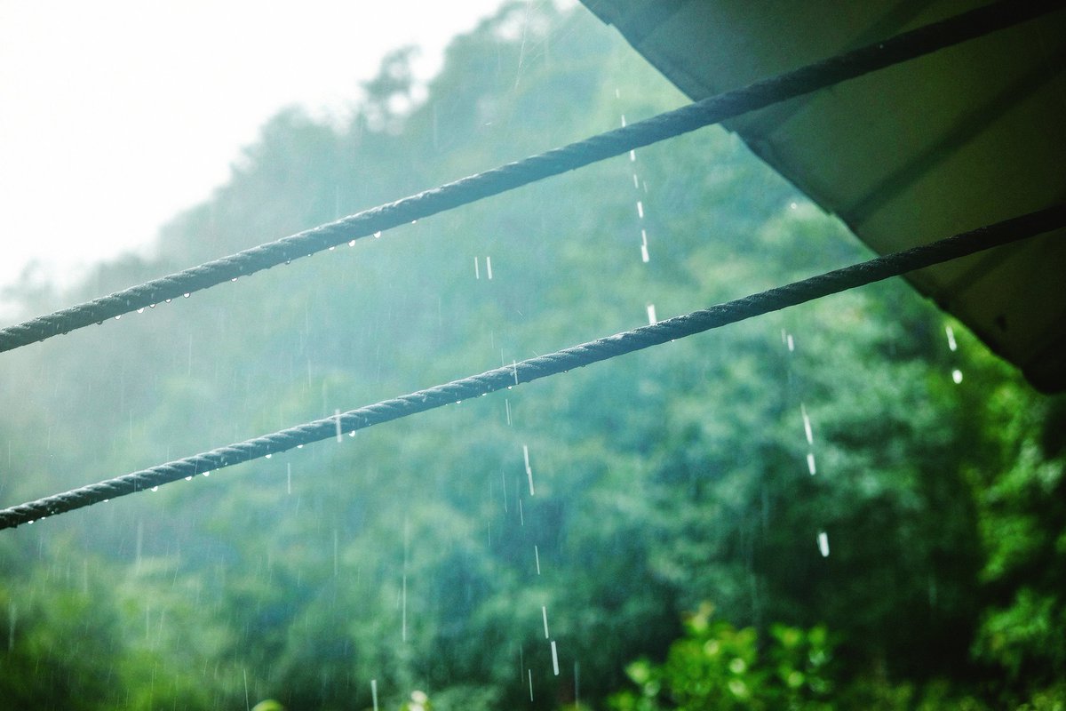 maymore's tweet photo. On a rainy day, be free and at leisure, conveniently moved a chair on the window, do nothing, just silently the voice of the rain drops, watching the rain trickling rain fall colors.
#rain #mountains #forest #quietness #pitter-patter #green https://t.co/HvVocl3Dob