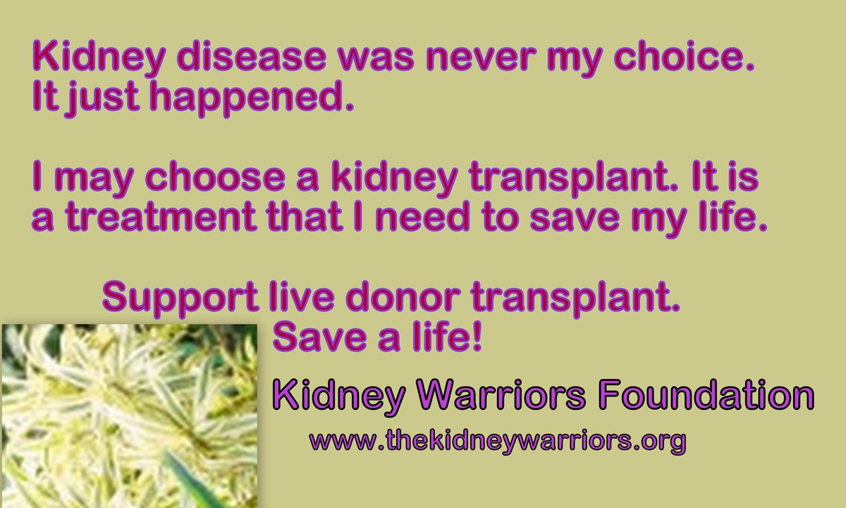 Kidney Warriors Foundation tweet media