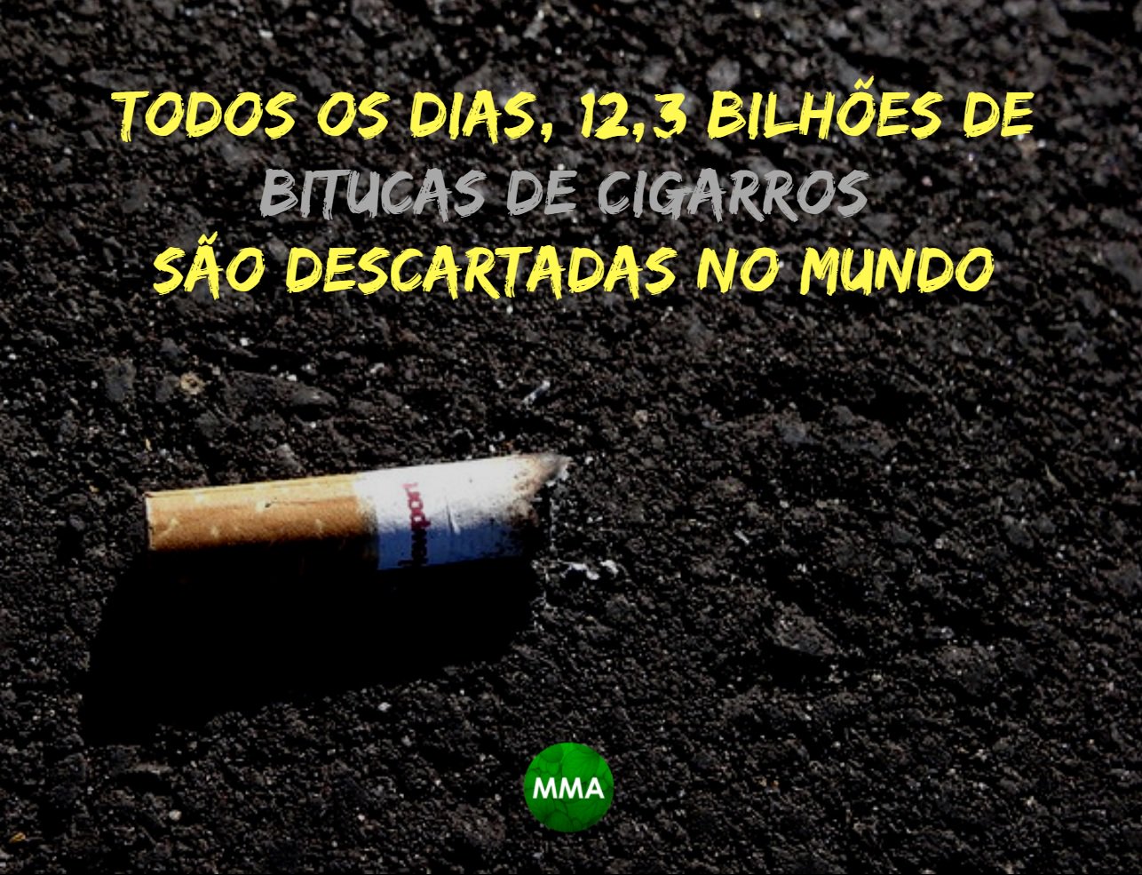 Veja o bizarro caso da barata fumando bituca de cigarro - CenárioMT