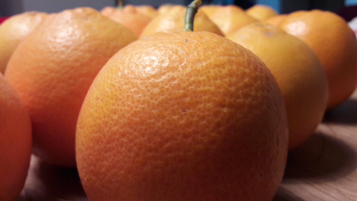 #innovation, #callforideas #agrumi #sicilia Il #Distrettoagrumidisicilia lancia una call per innovare la filiera agrumicola siciliana. Scadenza il 31 marzo agrora.distrettoagrumidisicilia.it/agrora-innovat…