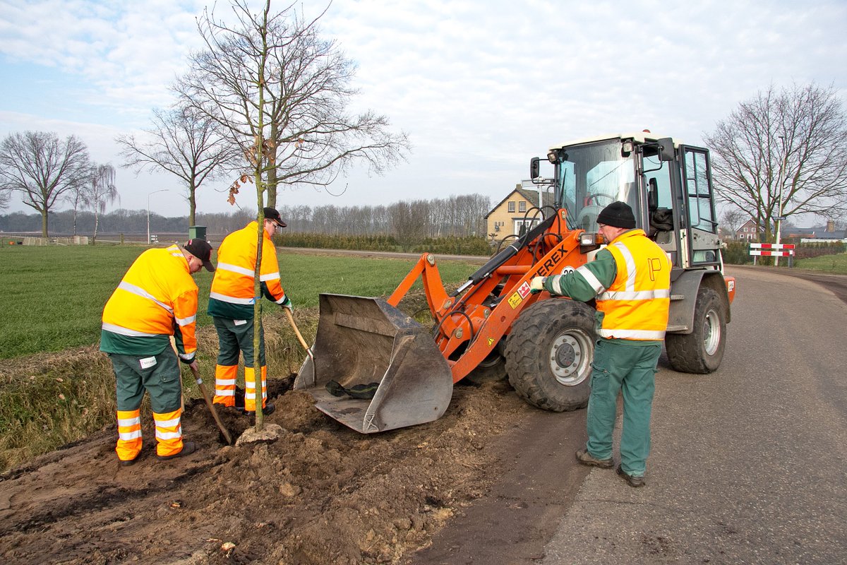 DeurneDoett's tweet photo. De boomaanplant is vandaag van start gegaan op de Veenpluisweg in #Neerkant @GemDeurne. 62 bomen (Essen, Lindes, Eiken en een Haagbeuk) worden de komende dagen geplant op de volgende locaties: Bospeelweg, Steenstraat, St. Vincentiusstraat en Korte Zeilkens. https://t.co/S3RS7gAimc