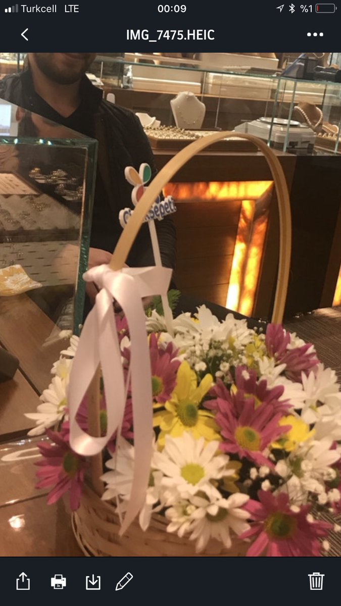 camelsarraf (@camelsarraf) on Twitter photo 