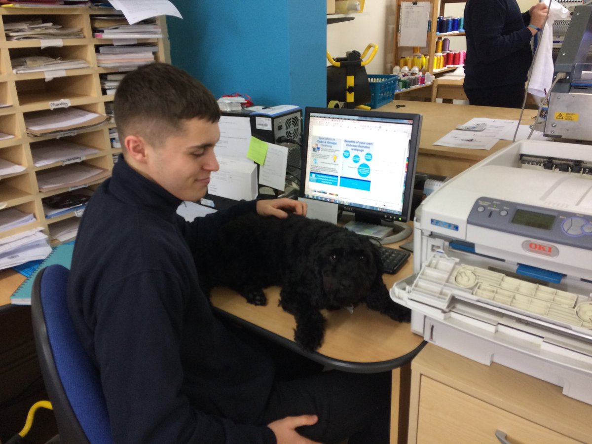 SigmaEmbroidery's tweet photo. Looks like Charlie the Sigma Dog has decided that he doesn't like his bed anymore and wants to lay on top of the desk! #PrintShopPooch #CharlieTheDog #Tuesday #LocalBusiness #Littleport #Cambridgeshire https://t.co/qRVME7rt1e