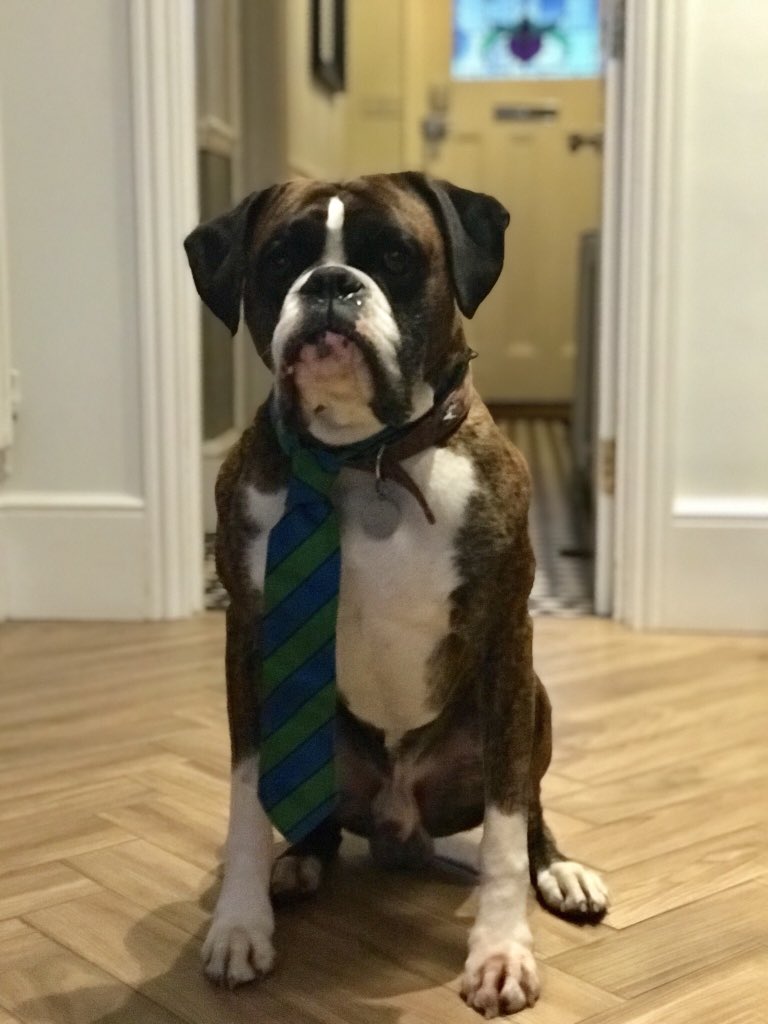 Conker Design tweet media