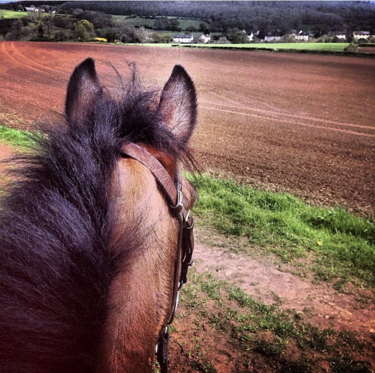 VOGCouncil's tweet photo. It's #LoveYourPetDay - We'd love to see photos of your pets enjoying the Vale of Glamorgan! https://t.co/Wx9KB2uz9g https://t.co/ShCf41jJfv