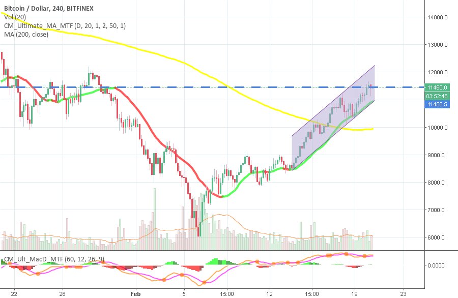 bitcoinagile's tweet photo. #bitcoin by trader kuw13  published February 20, 2018 $BTCUSD https://t.co/5tUBpXxALR https://t.co/vkWmP6KPQU