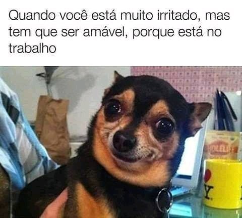 As Risadas Dos Memes