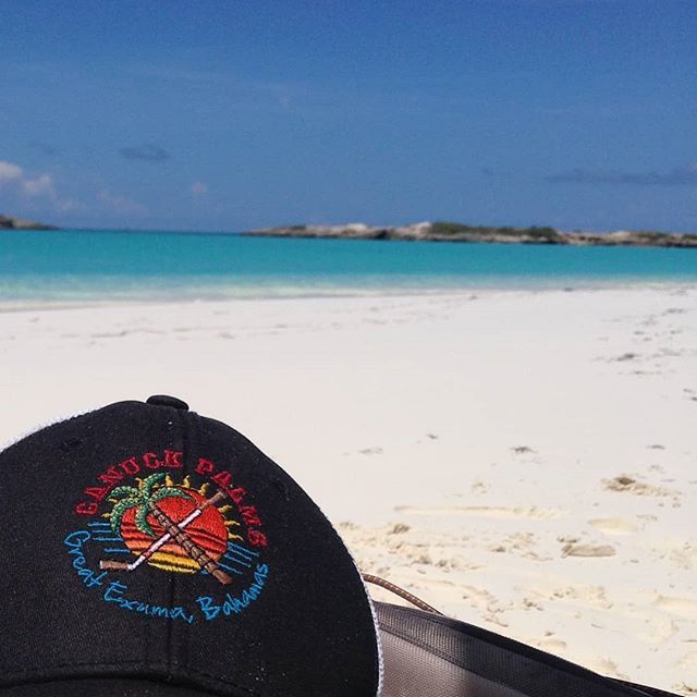CanuckPalms's tweet photo. #TravelTuesday 🌴
#CanuckPalms
@canuckpalms
https://t.co/xg0tAAeJMX .
.
.
.
.
#exploreexuma #discoverbahamas #bucketlistvacations #exuma #adventurelovers #aroundtheworldpics #godscreations #discovertheroad #adventureseekers #mountainsarecalling #our… https://t.co/13ALYjI8sB https://t.co/GtGqG3cIxX