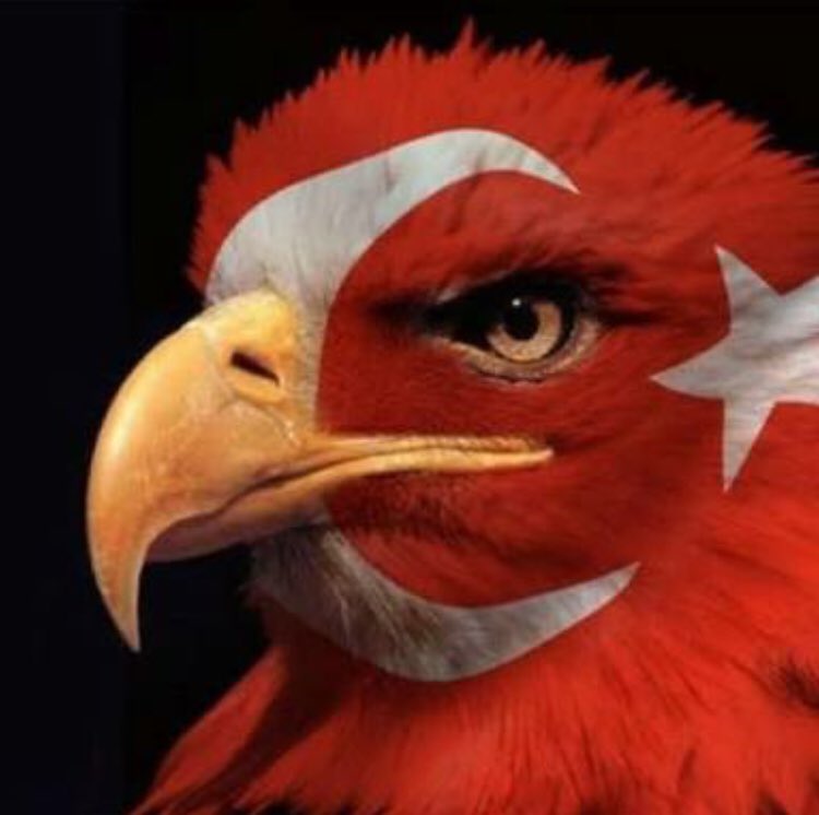 Formanda var benim Al Bayrağım
Aşığıyım Ben bu Vatan'ın.
Ortada bu güne dek yaptıkların,
İnanırsan biliyoruz yine yaparsın.
Uç be KARTAL'IM...
Haydi çocuklar Tüm Ülke sizinle.