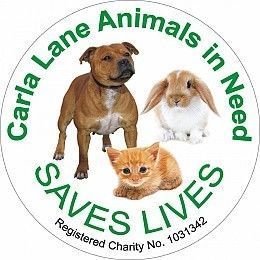 LostEvent_LPL's tweet photo. Carla Lane Animals in Need Spring 2018 Fun Day and Dog Show! #Liverpool - https://t.co/Dsu4rwh52F https://t.co/k3IQNUtKWn