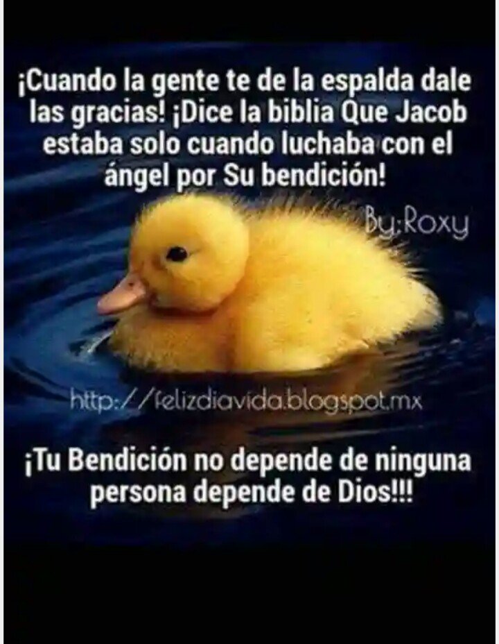 snoopy6354's tweet photo. Gracias/ Thanks!!!! https://t.co/LfK3CiRjbm