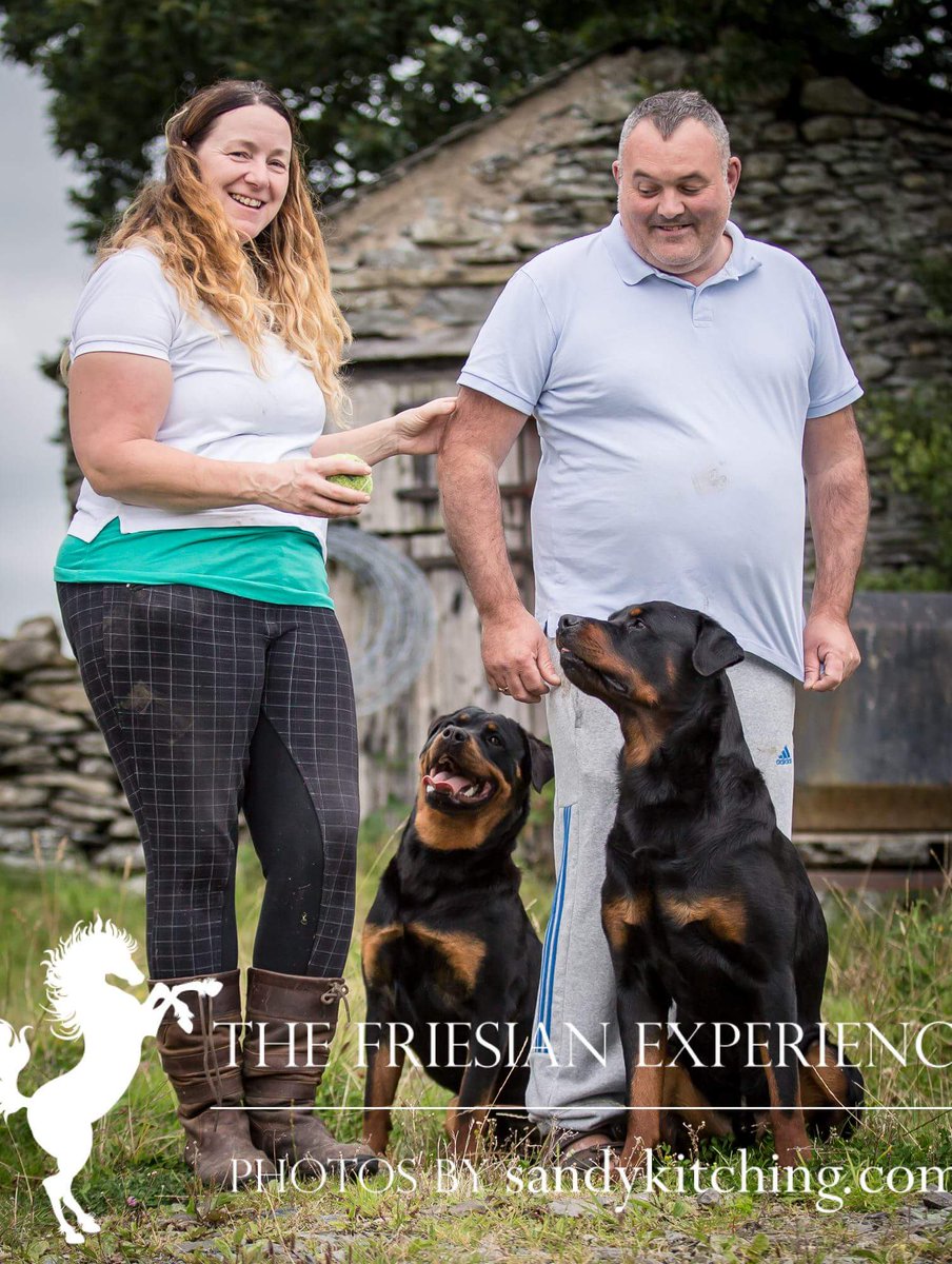 Do you love your dog? Of course you do! So don't leave your four-legged friends at home bring them for an adventure too! #DogFriendly #FourLeggedFriends #bedandbreakfast #LakeDistrict #cartmel #farmhousebedandbreakfast