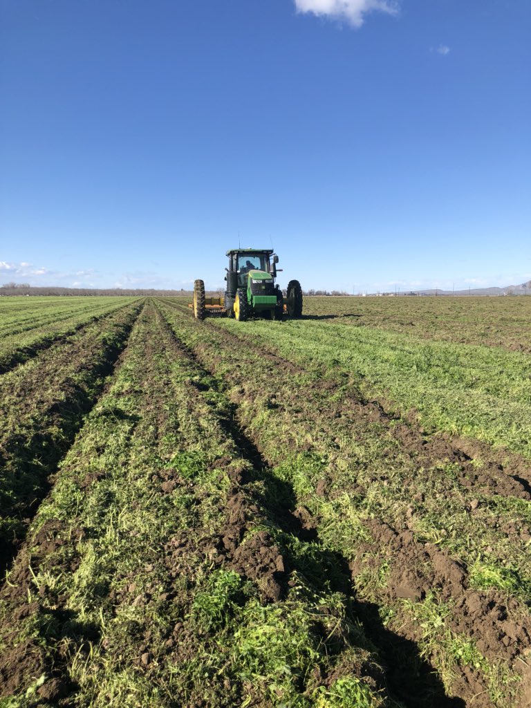 parkorganics's tweet photo. Looking forward to a successful 2018 farm season. #organic #covercrops https://t.co/chv2D9naq9