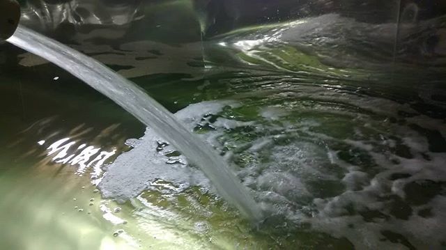 boottrackmaple's tweet image. Sap has been running since yesterday! #boottrackmaple #vtmaplesugaring #maplesugaring ift.tt/2C8FjgR