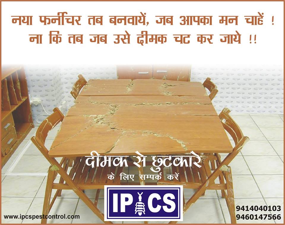 IPCSPestControl's tweet image. #PestControlService #PestControlJaipur #IPCSJaipur 
#TermiteTreatment #CockroachesTreatment #Deemak_Ka_ILAJ