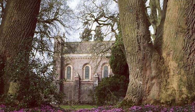 visitsouthdevon's tweet image. The Spring flower Trail at @NTKillerton in Exeter is well and truly underway! Why not enjoy the trail this weekend?

More details: goo.gl/gzDLsp

#nationaltrust #exeter #springisonitsway #spring