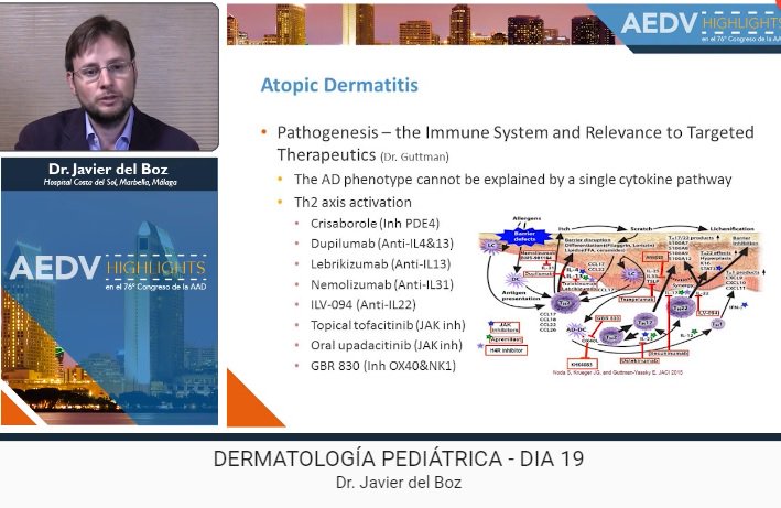 aedv_es's tweet photo. Javier del Boz: “patogénesis de la dermatitis atópica: parece que la respuesta inmunitaria en estos casos es más compleja de la que se encuentra en la psoriasis. Existe activación de diferentes vías, una común es la activación del eje Th2“ #AAD18 #AAD2018 https://t.co/PlhA6fb3OD https://t.co/roJl6HqWcm