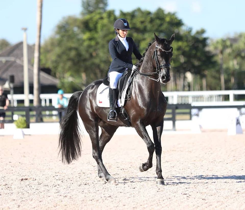 MindepChile's tweet photo. ¡Gran inicio de temporada! La equitadora chilena Virginia Yarur 🇨🇱🐎 se quedó con el 1er lugar 🥇 en Adiestramiento del Adequate Global Dressage Festival realizado en Estados Unidos en el debut de su caballo E Rava 🐴 📸: @VirginiaYarur https://t.co/wHr9GCo1ij