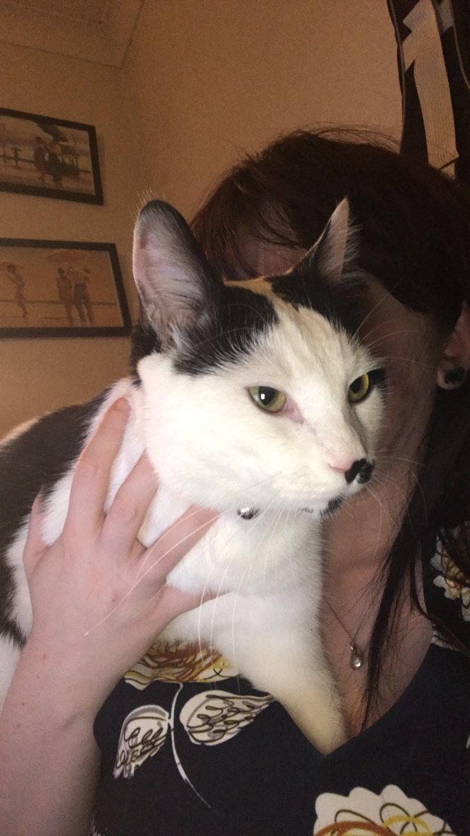 NonConcentric's tweet image. #LoveYourPetDay