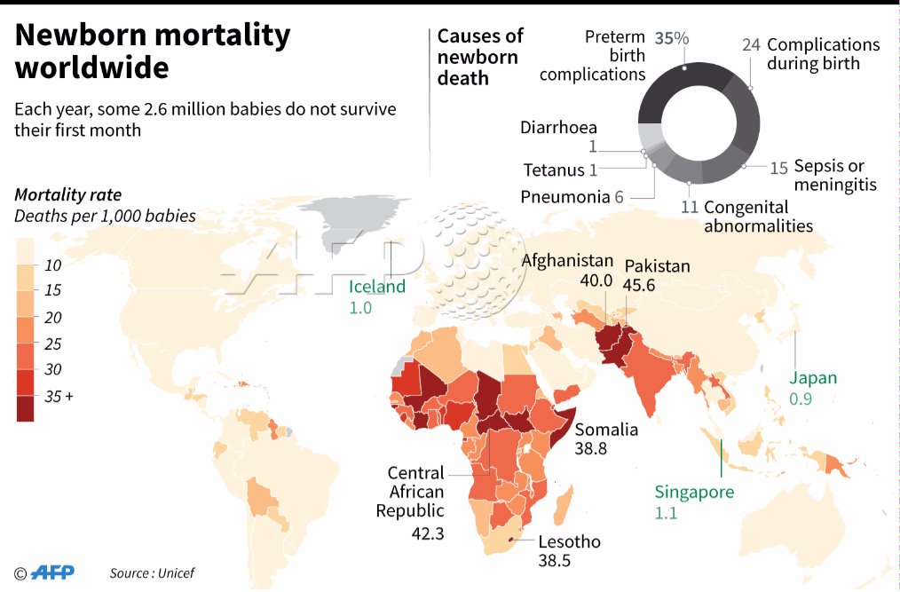 Every year, some 2.6 million babies born worldwide do not survive their first month of life, deaths which are caused by birth complications, infections, congenital abnormalities and other issues