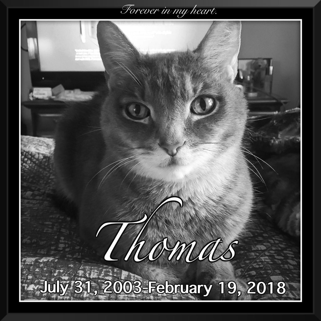TVelvet's tweet photo. Thomas, you were the best friend I could ever ask for and I’ll miss you forever. 💔 Love, Mom https://t.co/yyTzoQnZKj