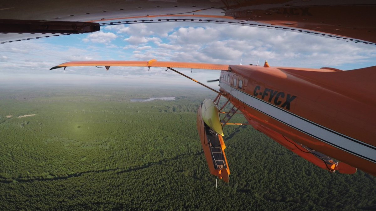 WildernessNorth's tweet photo. Excited to be attending the @OutdoorAdvShow this weekend in Mississauga sharing our iconic Canadian adventures! See you there! #PaddleON #GuidedCanoeTrip #CanoeOutfitting #ExploreON https://t.co/TiJmjS3SIO