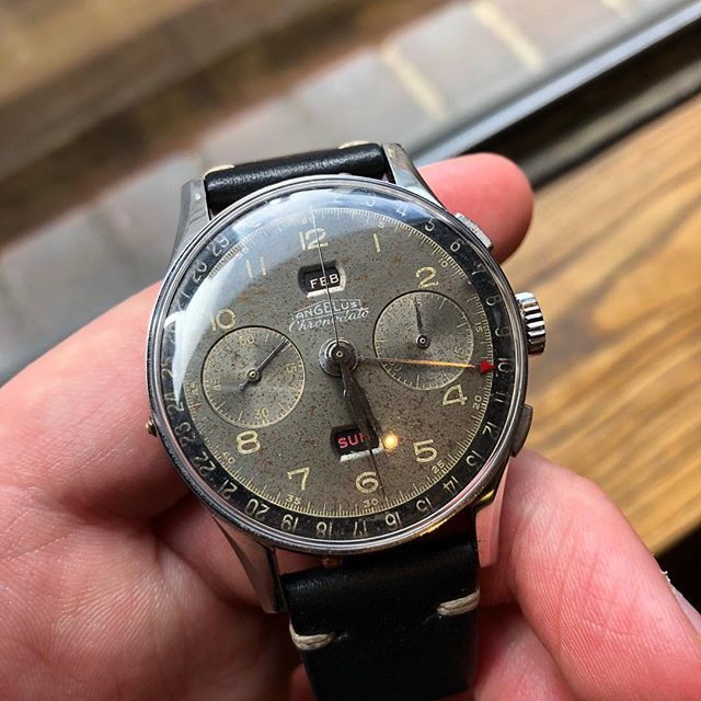 analogshift's tweet photo. How to make something complicated look so simple: the Angelus Chronodato! .
.
.
.
#angelus #tripledate #vintageangelus #chronodato #glossy #greydial #itscomplicated #womw #nyc #fall #watchpassion #watchfam #watchmania #watchaddict #menstyle #watchoftheday #watchesofinstagra… https://t.co/HAmESl4xEE