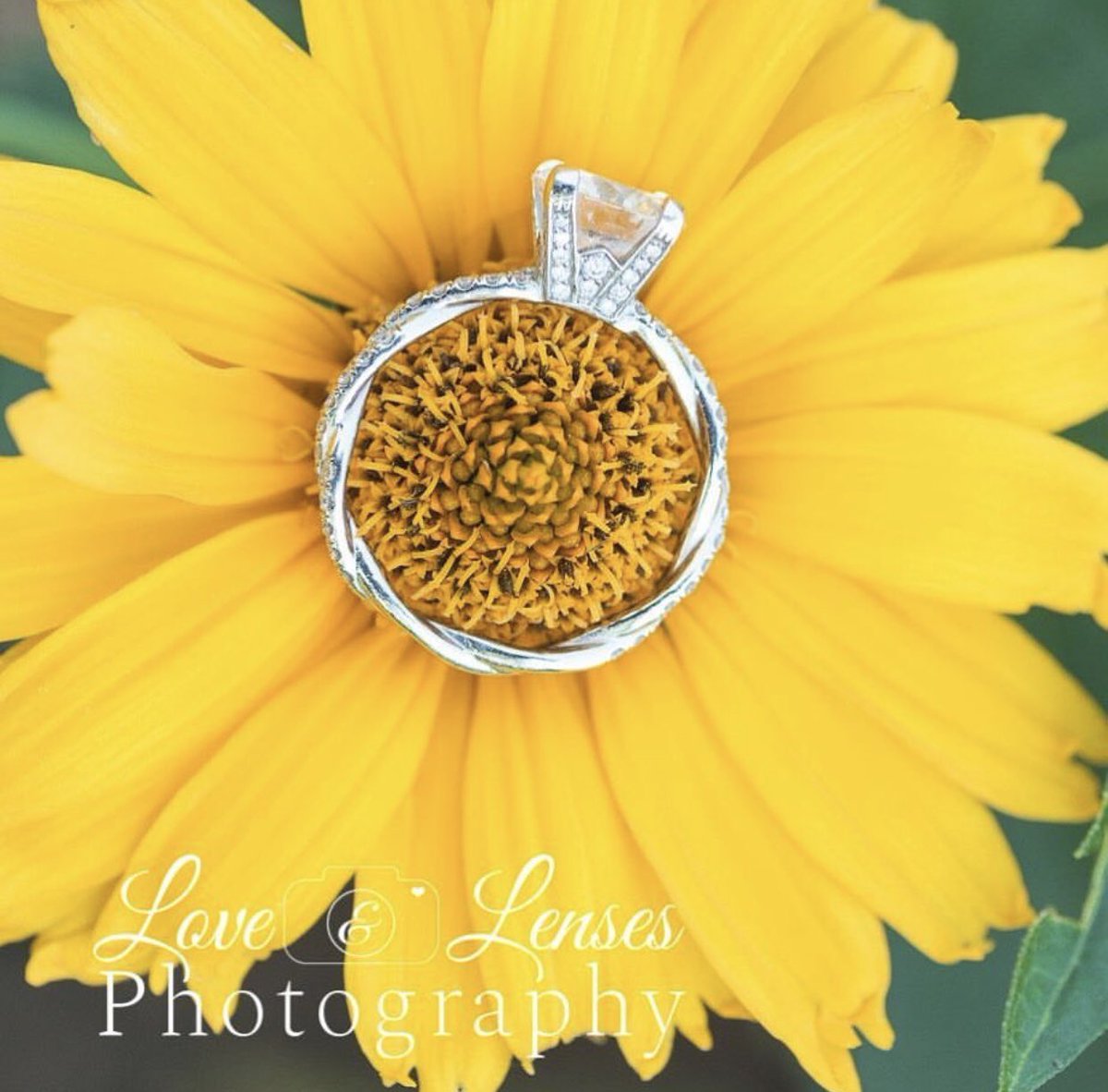 njwedding's tweet photo. Happy #engagementseason! 💍 Beautiful image of this #engagementring &amp; flower by Love &amp; Lenses Photography in #Hillsdale, #NJ ☀️ Call (201) 497-6547 to check availability for your #engagement or #wedding photographs. #njwedding #engagementphoto #ring #engaged #newjersey #njphoto https://t.co/XVIjPwI2JD